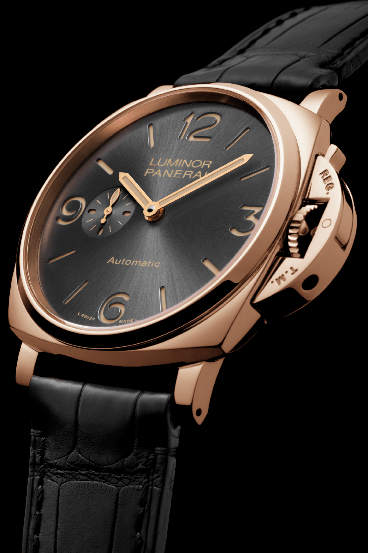 Pam675 Cat Dett01 B 1319662