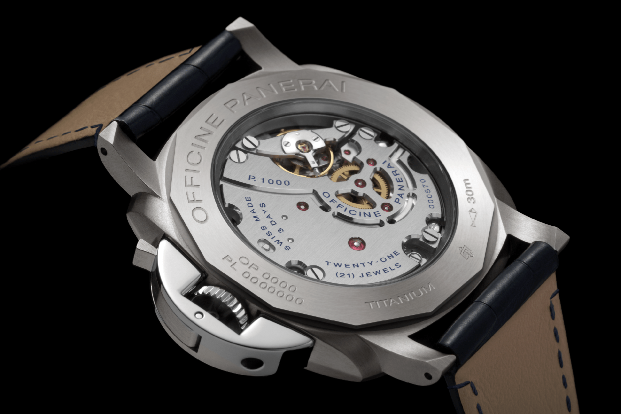 Pam728 Cat Dett03 B 1483748